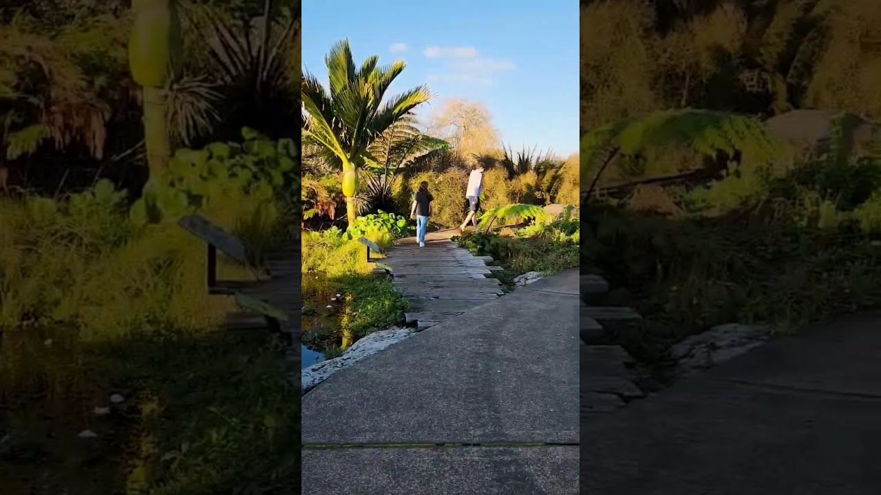 Wedding Garden Photo Location! 🎉😍 | The Wedding Planner