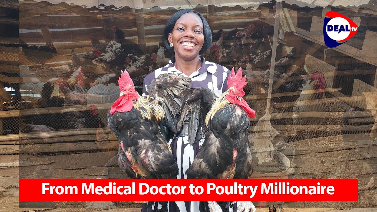 From Medical Doctor to Poultry Millionaire 🐔💰 | How She Built a Local Chicken Family Empire