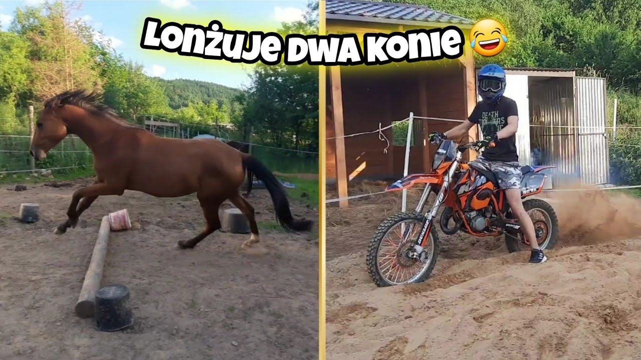 Co robię w upalne dni z koniem | Krótki vlog ze stajni #3