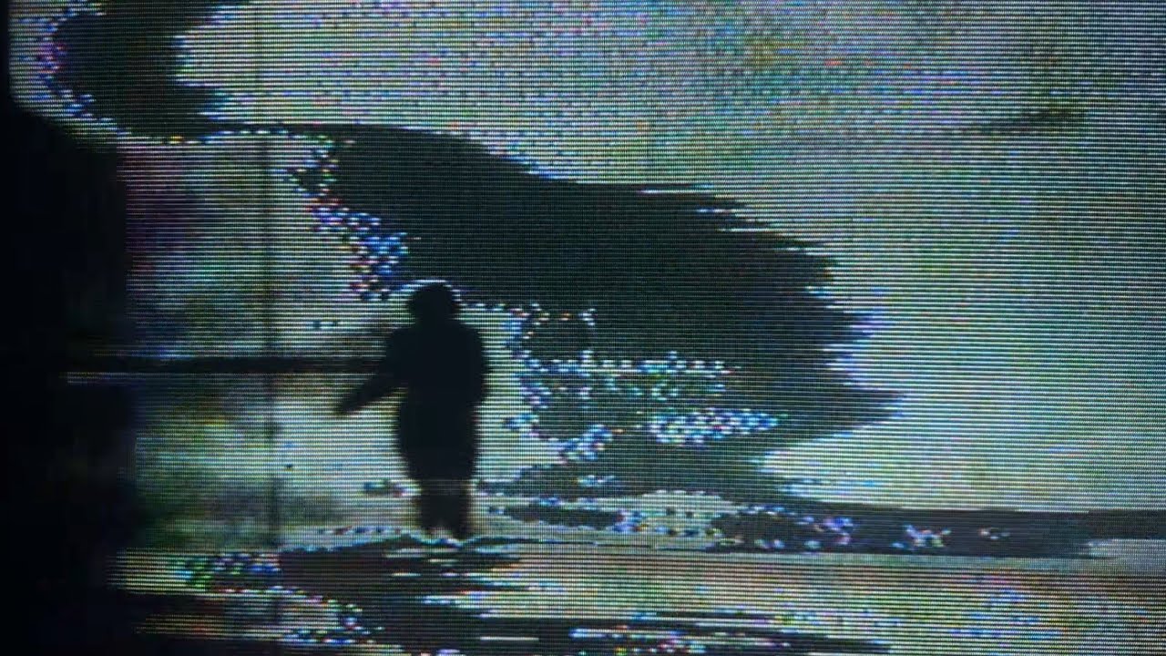A Shadow Left Waiting (EP Visualizer)
