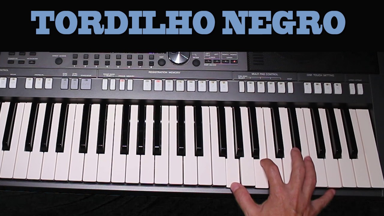 VÍDEO AULA - TORDILHO NEGRO