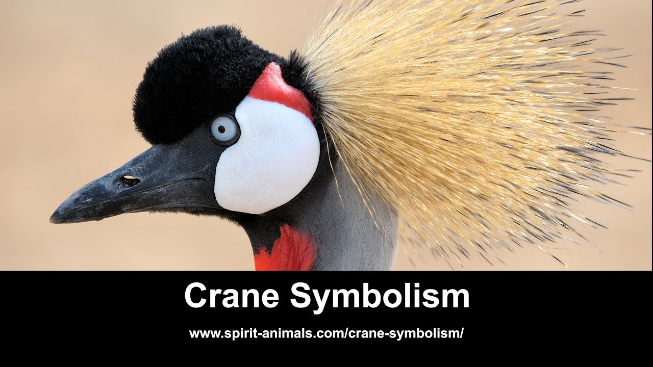 Crane Symbolism
