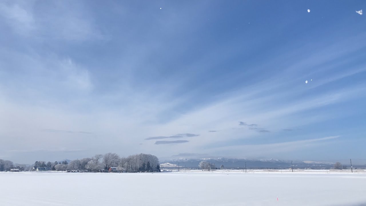 #351
