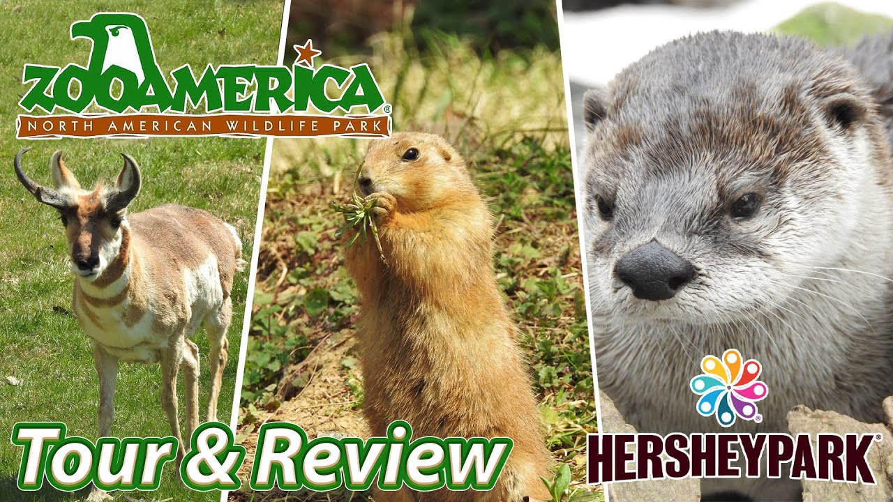 Hersheypark's ZooAmerica | Tour & Review | April 2021
