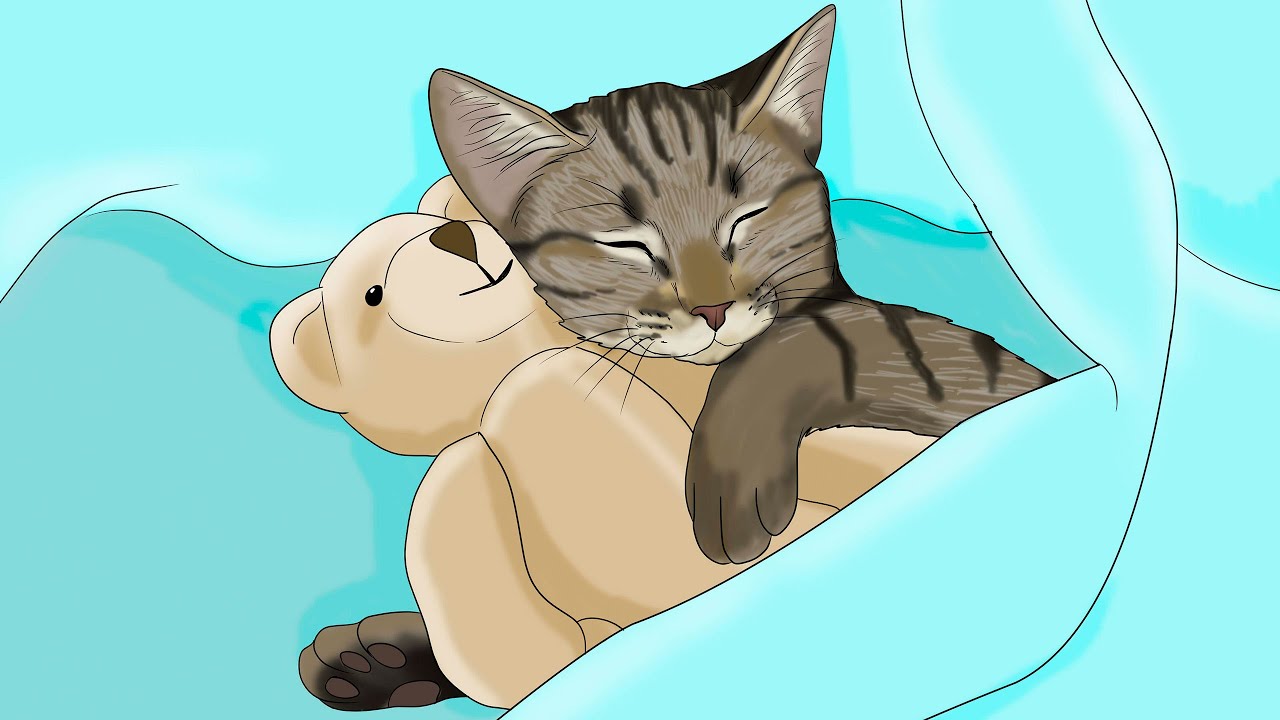 Do Cats Dream?