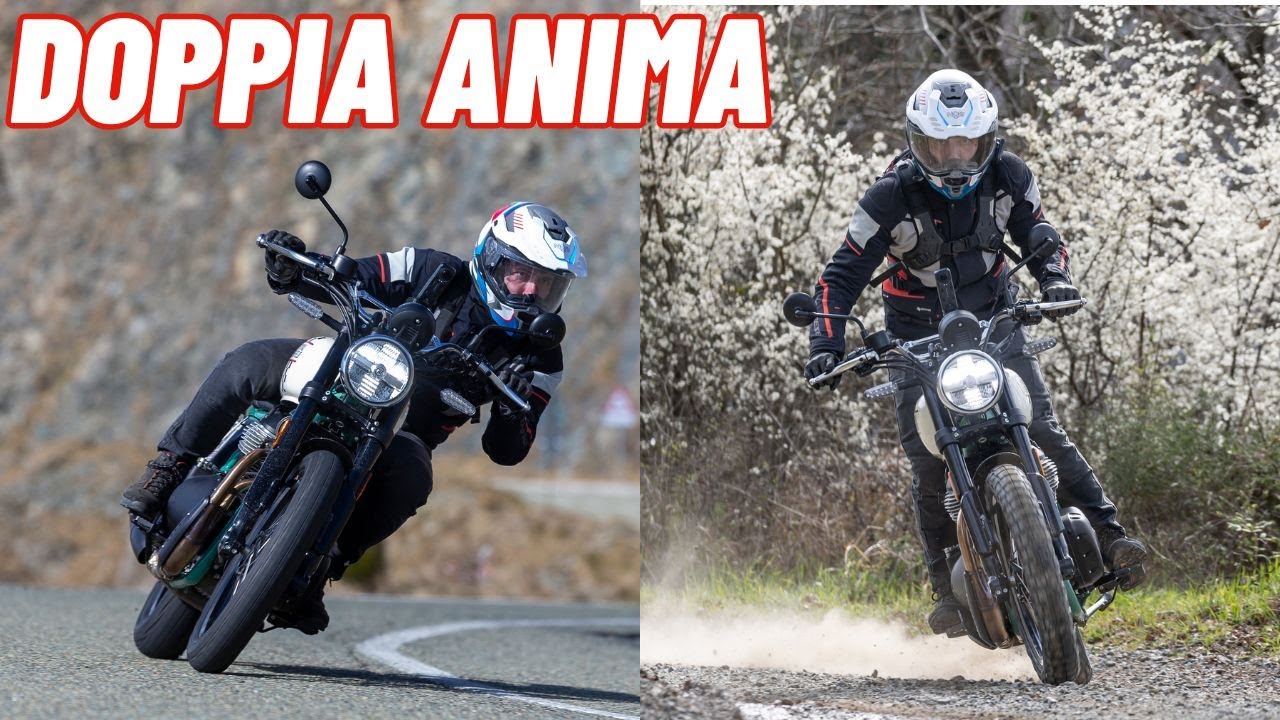 ORSO pronto all'ATTACCO - Royal Enfield Bear 650 non è PERFETTA ma...