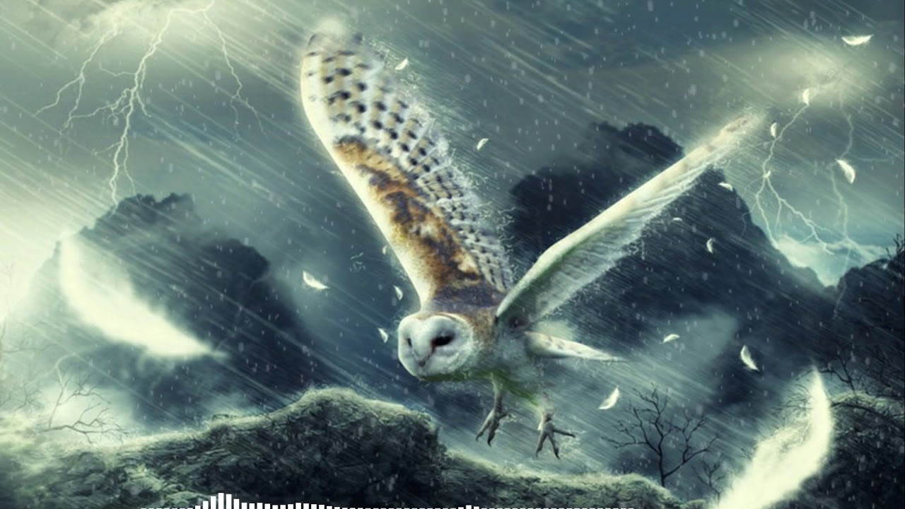 ბუ - სევდის ხმა / bu - sevdis xma