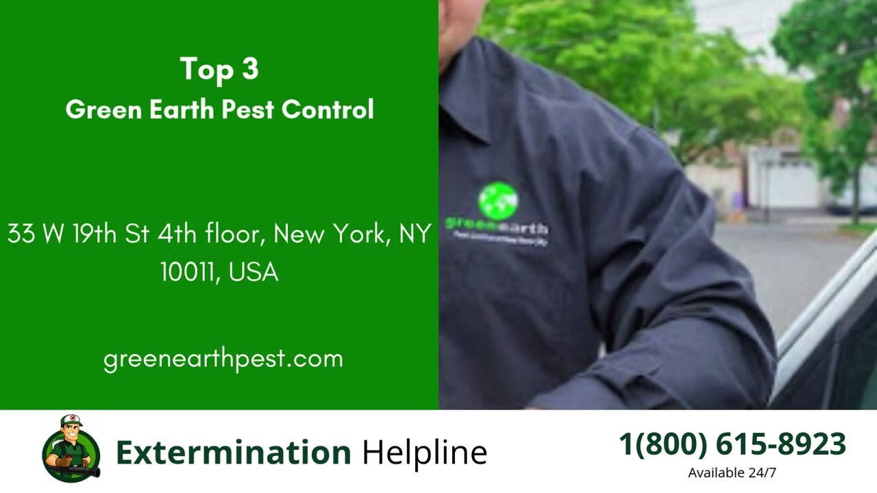 Top 3 Exterminators in Ross