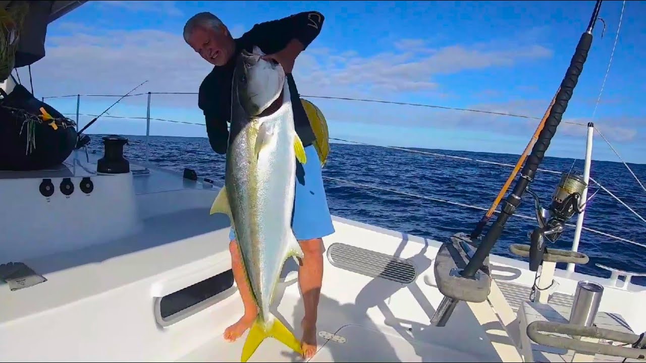 Catching Giant Kingfish / Yellowtail at the Holy Grail : Mount Vema!
