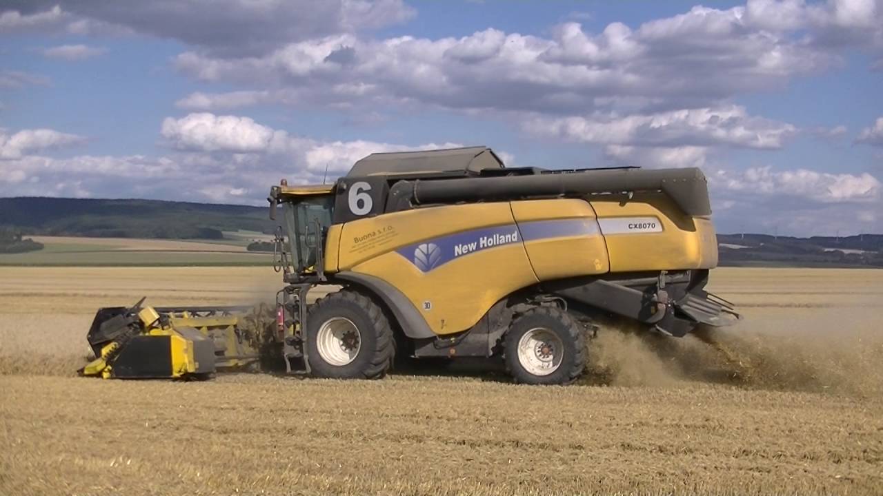 Sklizeň Ječmene Staré Město