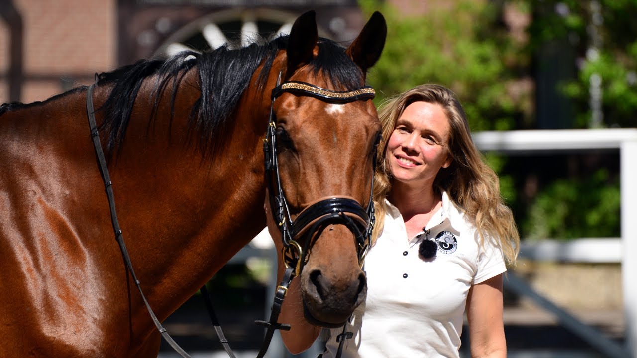 Problem horse bought as a write-off – German horse whisperer tries her best | The Google Horse Story