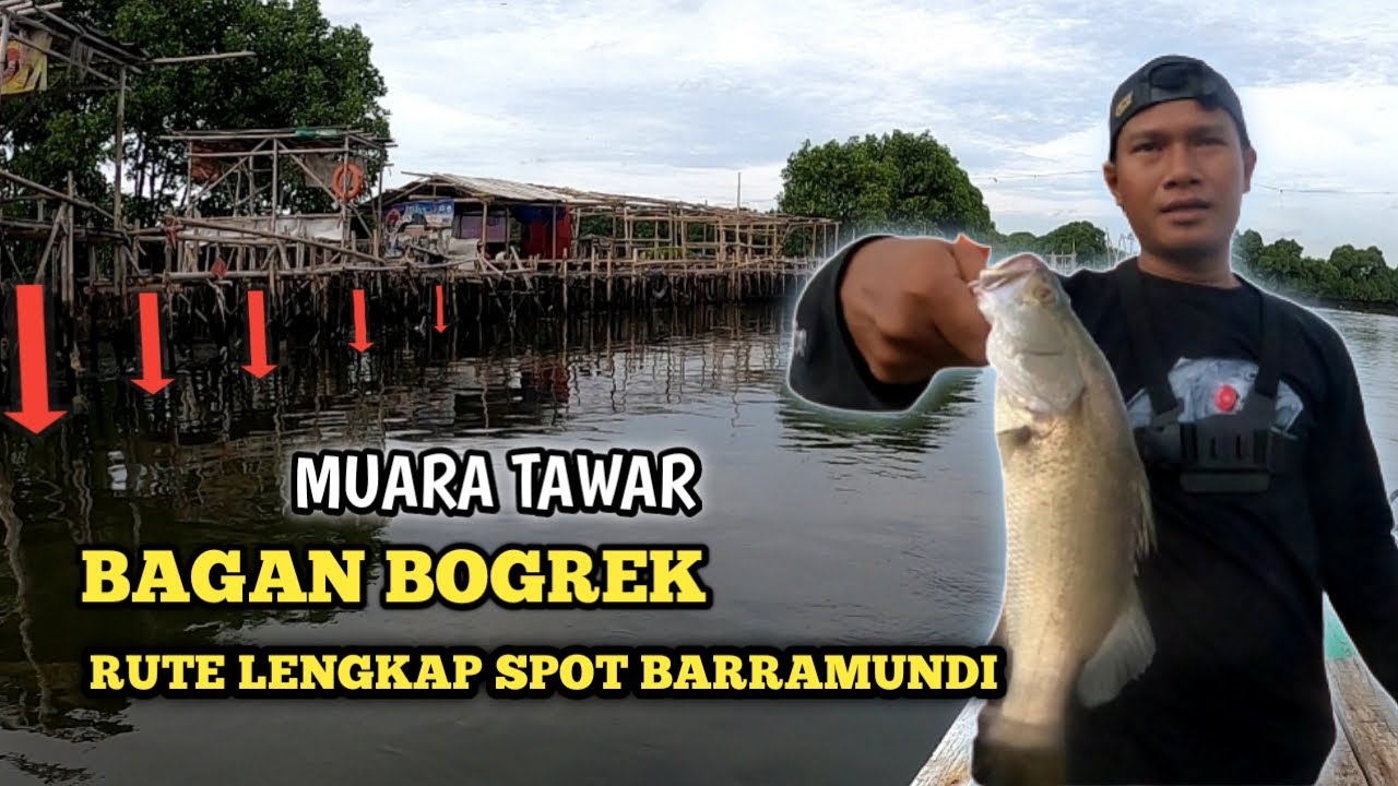BAGAN BOGREK MUARA TAWAR, RUTE LENGKAP SPOT KAKAP PUTIH 19/01/2023
