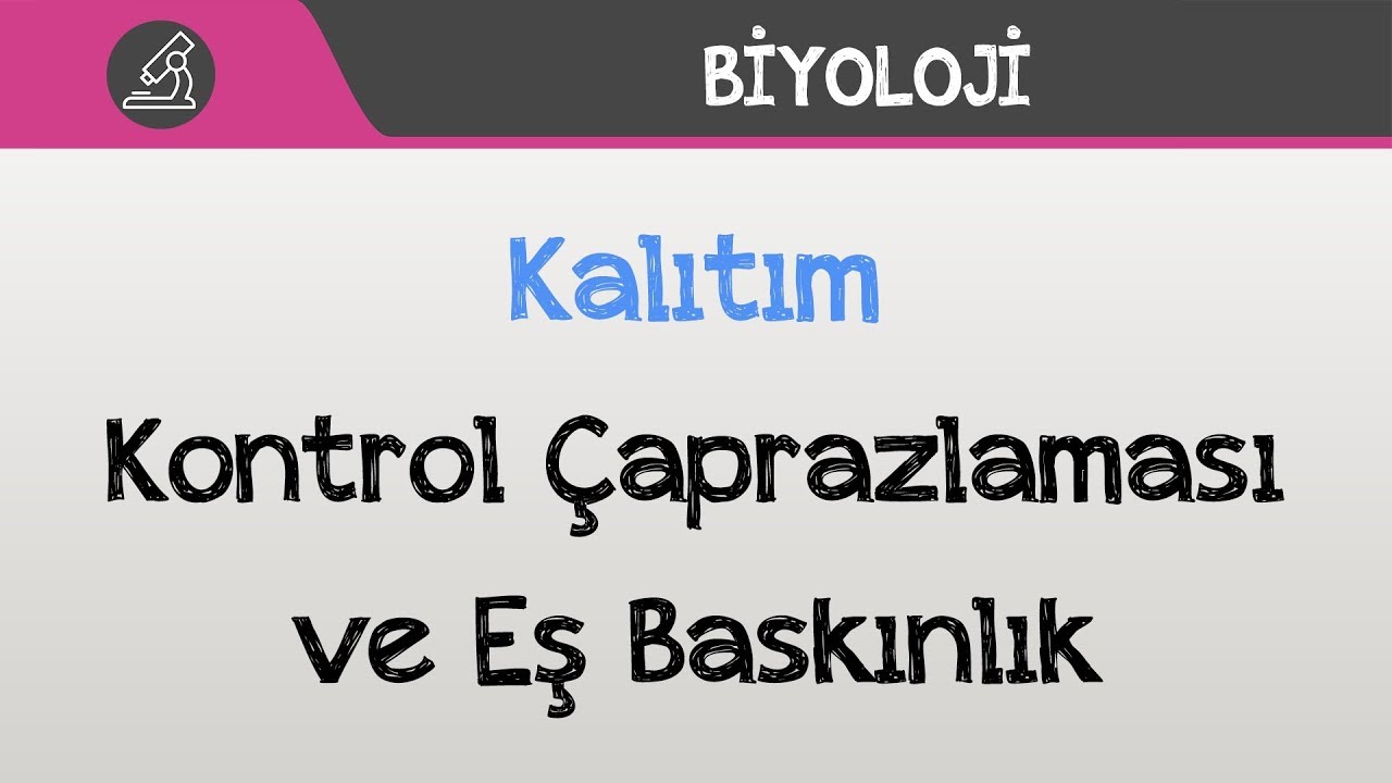 Kalıtım - Kontrol Çaprazlaması ve Eş Baskınlık