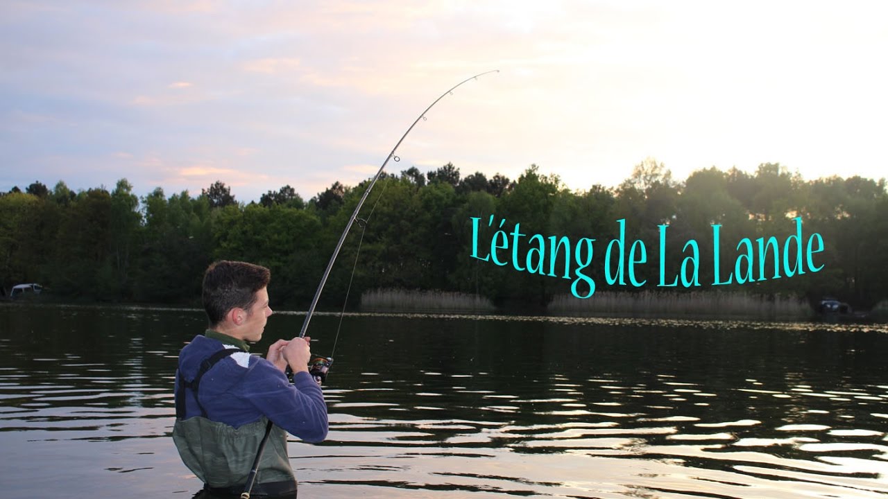 48h pêche de l'esturgeon à l'étang de La Lande *Session record*