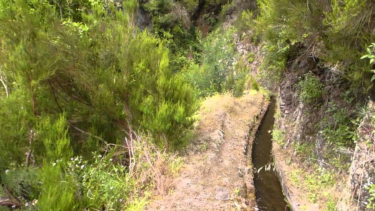 Madeira - Galerietunnel auf der Levada do Lombo / Levada dos Cruzinhas