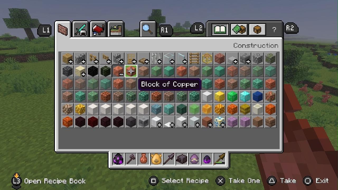 Minecraft_20260111114503