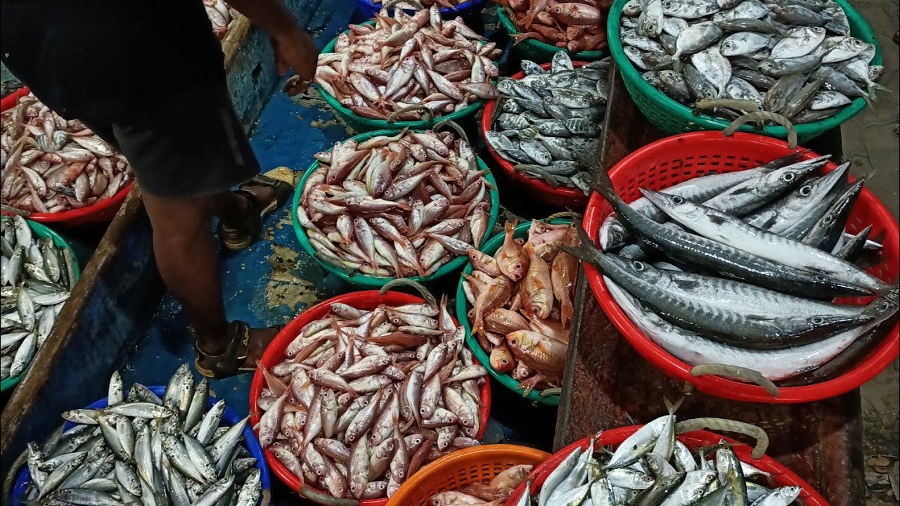 Pondicherry fish sales market || மீன் விற்பனை செய்யும் நேரடி காட்சி