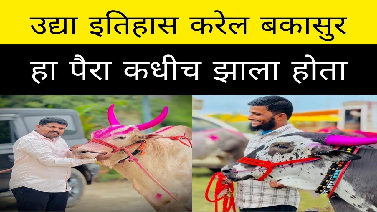 उद्या देव बकासुर ला रोखणे खूप कठीण? शेवटी मामांनी धप्पा दिलाच? कोण आहे पैरा टॉपचा बकासुरचा? 