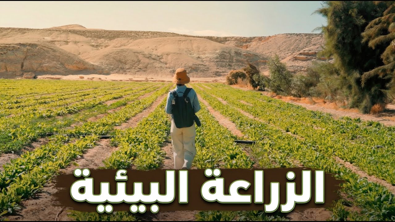الزراعة البيئية: المستقبل المستدام للزراعة .. Agroecology: The Sustainable Future of Farming
