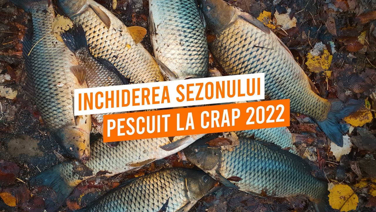 INCHIDEREA SEZONULUI DE PESCUIT LA CRAP PE RAUL NISTRU 2022