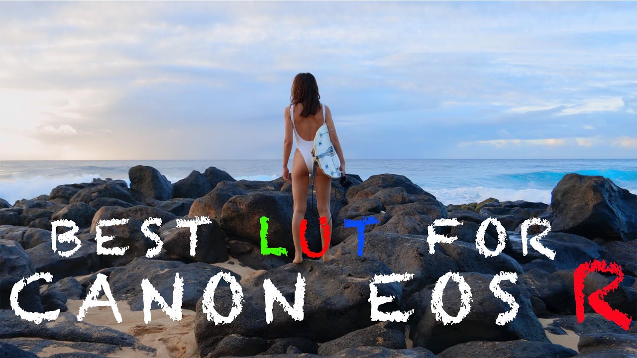 BEST LUT FOR CANON EOS R (FREE LINK IN THE DESCRIPTION)