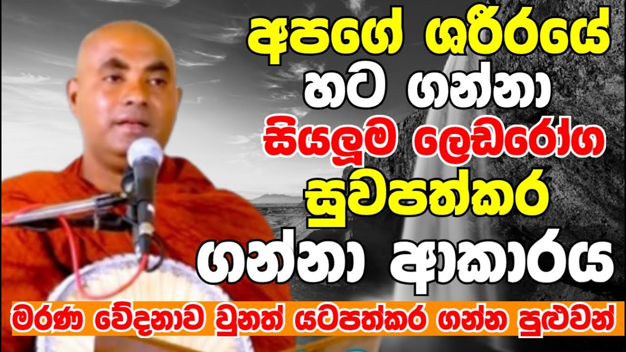 අපගේ ශරීරයේ හටගන්නා සියලුම ලෙඩරෝග සුවපත් කරගන්නා ආකාරය | Ven Koralayagama Saranathissa Thero 2024
