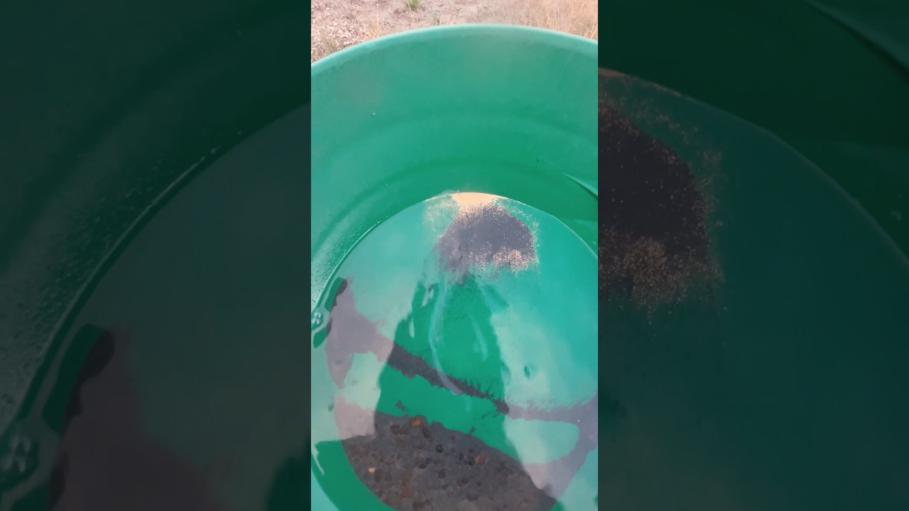 Flour Gold Clean Up Technique | Back Panning #goldprospecting