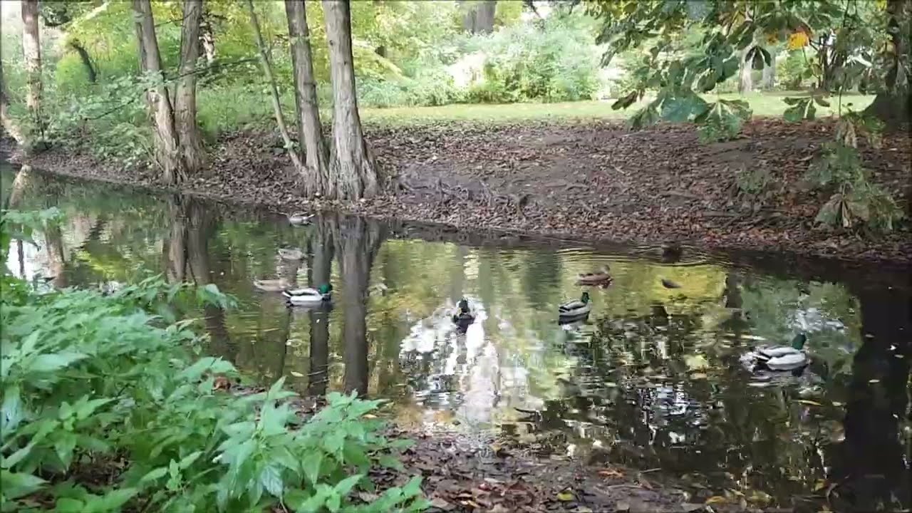 Das Göhlbachtal in Hamburg-Harburg
