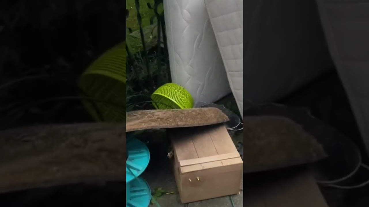 Wystawki‼️Oszukałem sam Siebie😂#ytshorts #shorts #shortvideo #shortsvideo #dlaciebie #wystawki #yt