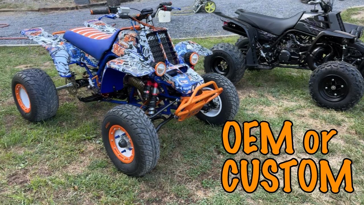 Custom Banshee Or Stock Banshee. Build Them or Leave Them Alone