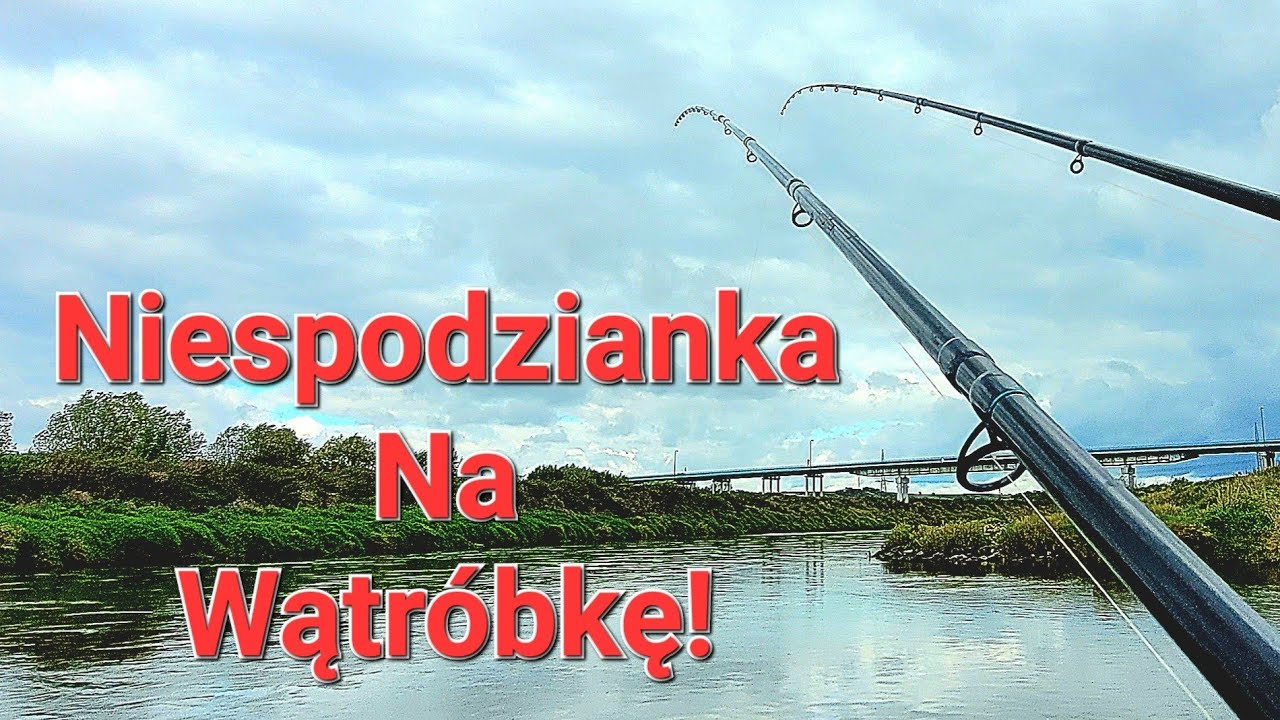 Wiślana improwizacja! Klasyczny rzeczny Feeder i trudne Wędkarstwo!