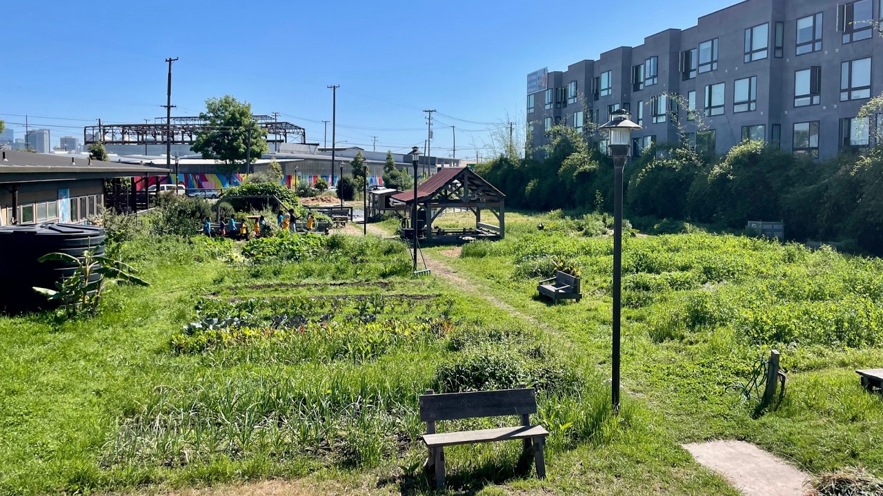 Acta Non Verba's Farms - Sanctuaries for Young People
