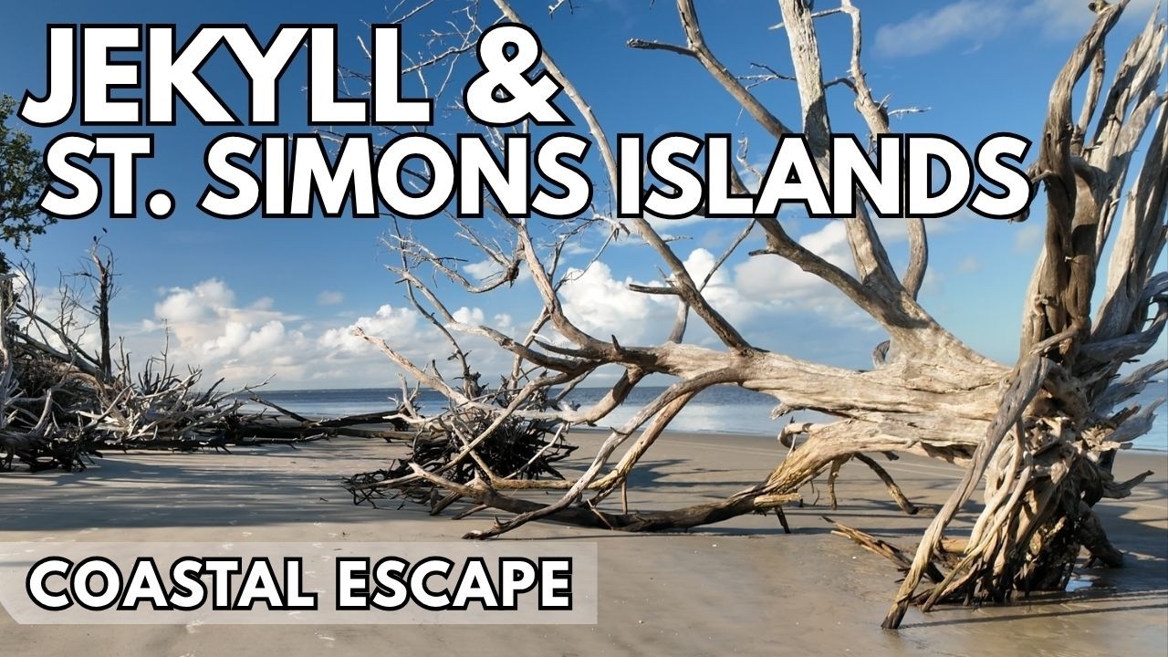 Coastal Calm | 2.5 Hour AMBIENT JOURNEY through Jekyll & St. Simons Island