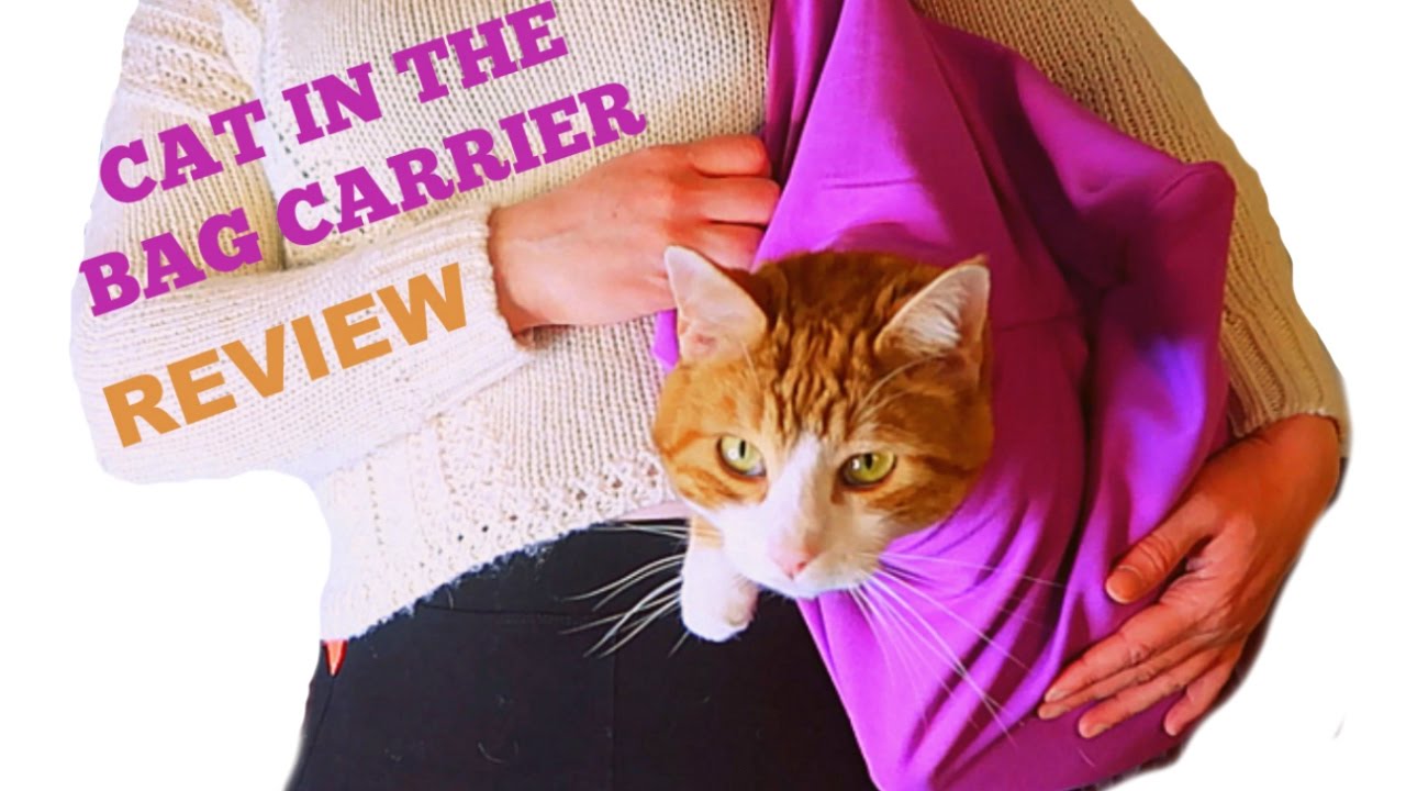 Does The Cat In The Bag Carrier Work? 🐱  My Cats Review