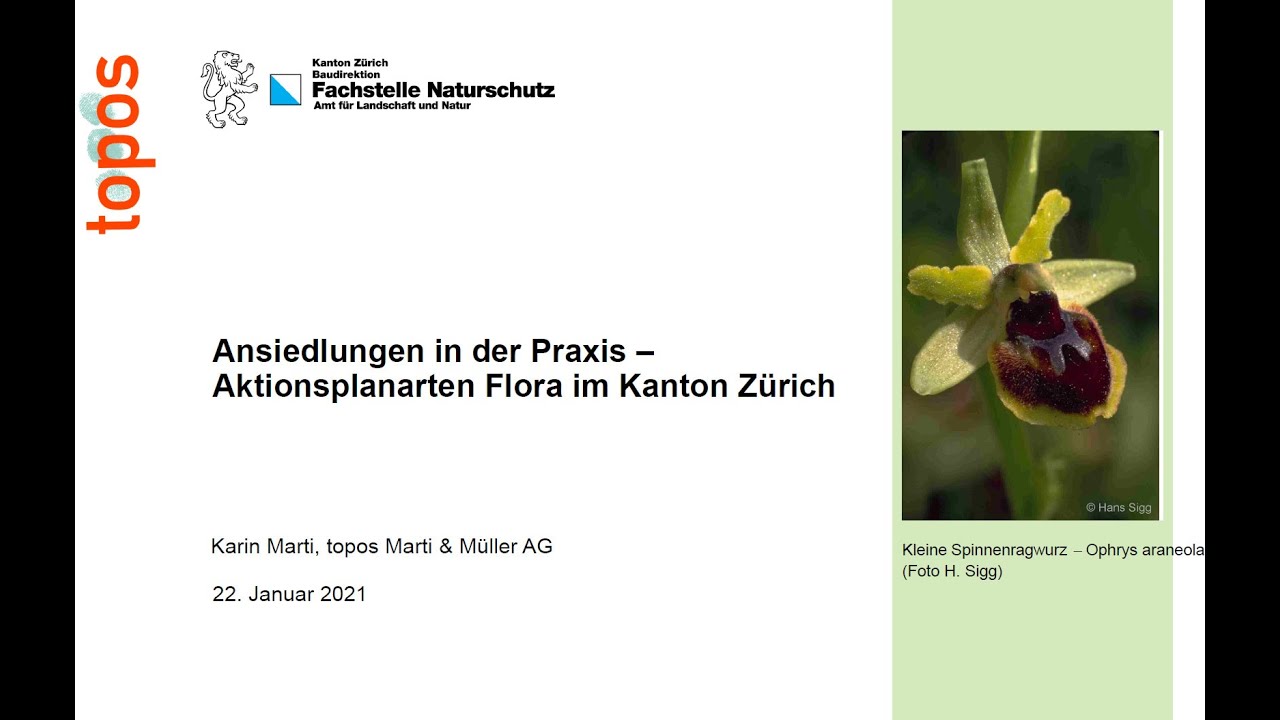 Ex-situ-Workshop 2021: Ansiedlungen in der Praxis &ndash; Aktionsplanarten Flora im Kanton Z&uuml;rich