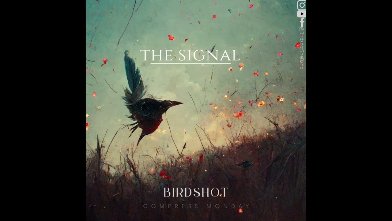 The Signal