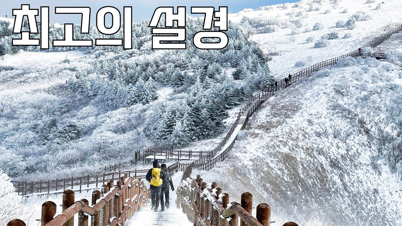 외국보다 멋진 대한민국 눈꽃 Top 12 | 겨울 설산 명소 총정리