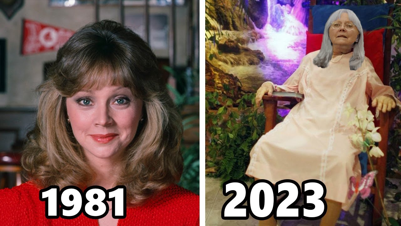 CHEERS (1982-1993) Cast THEN and NOW, The actors have aged horribly!!