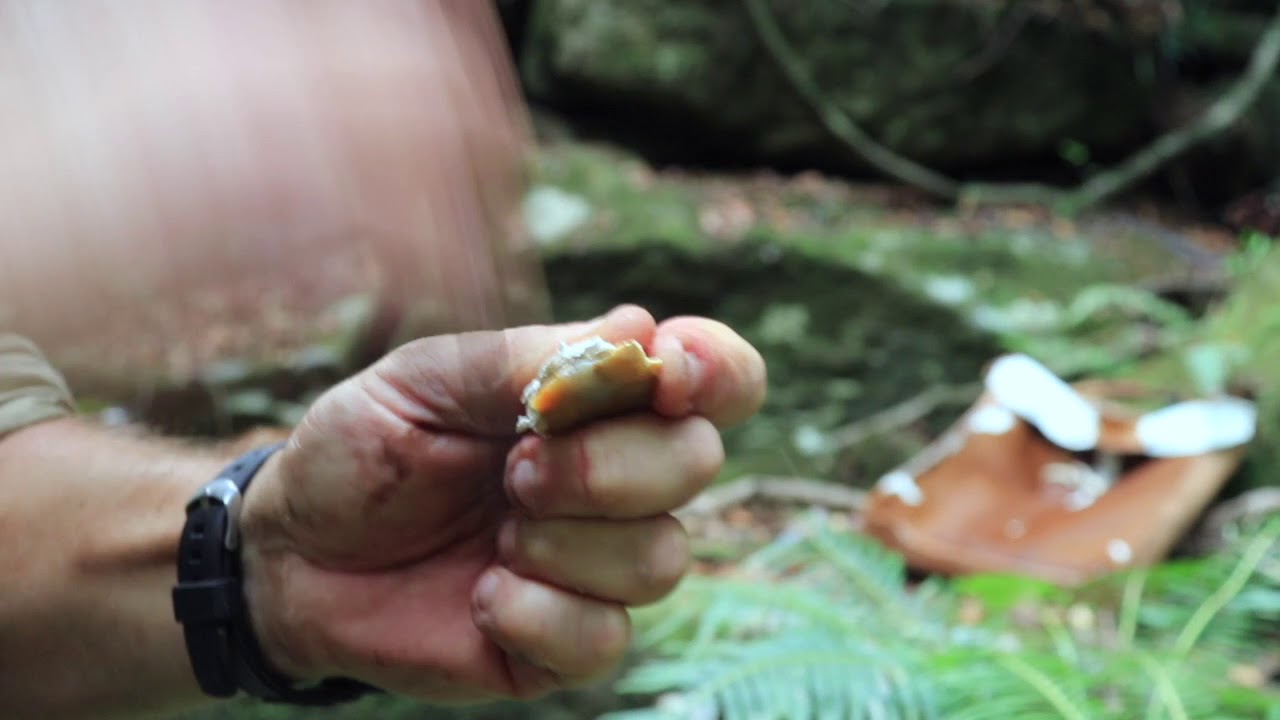 Survival Fire Lighting - Tinder Fungus