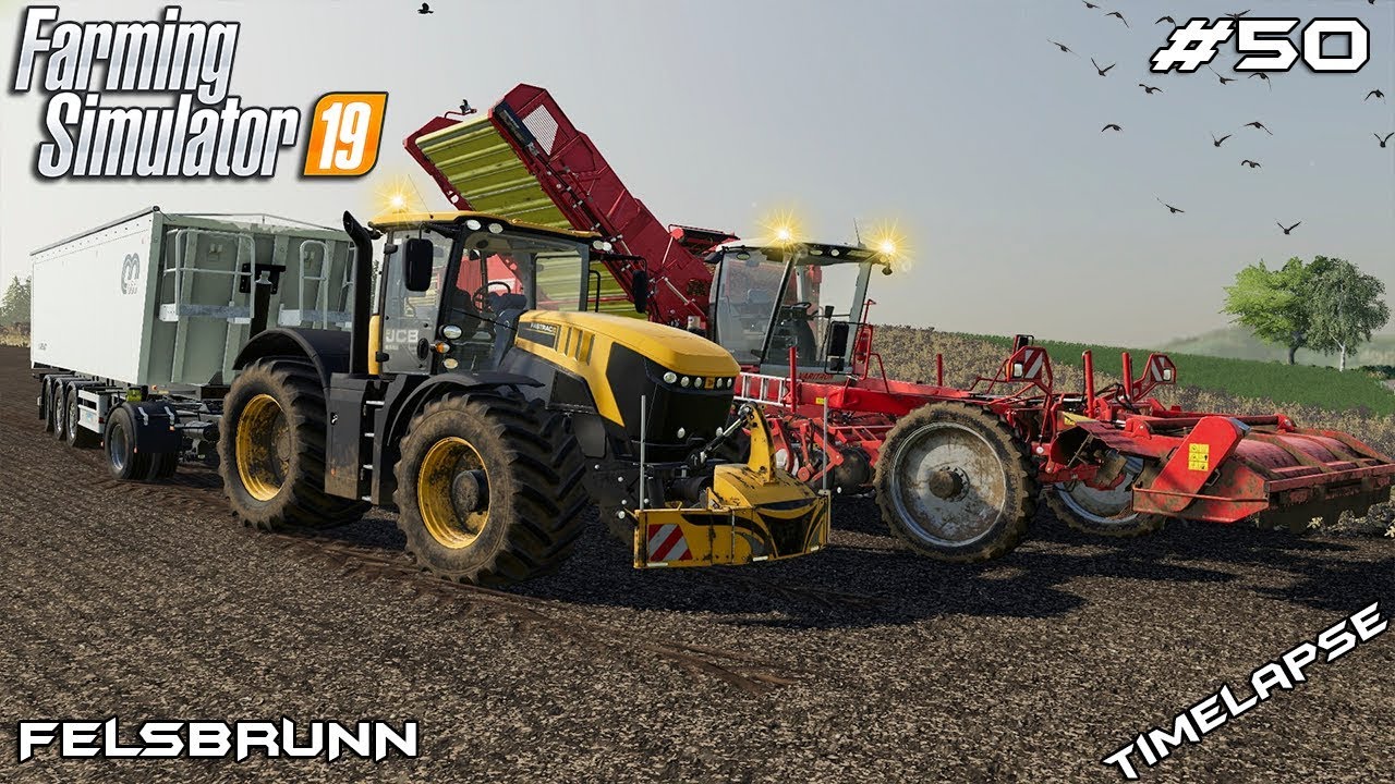 Potato harvest & disc harrowing | Animals on Felsbrunn | Farming Simulator 19 | Episode 50