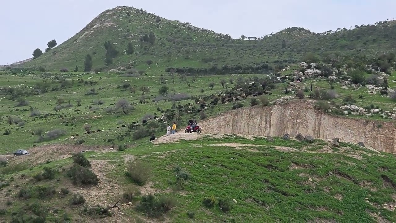 بركة العرايس -شمال إربد