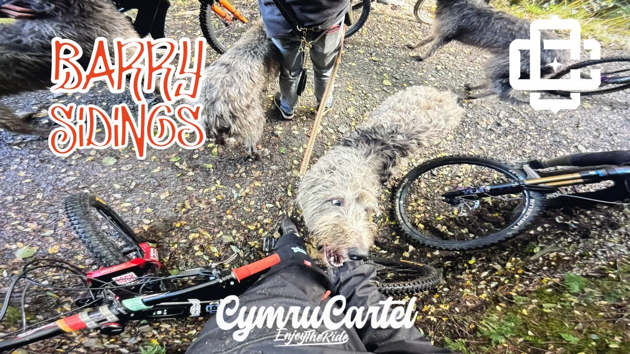 Barry Sidings-Cymru Cartel shred day