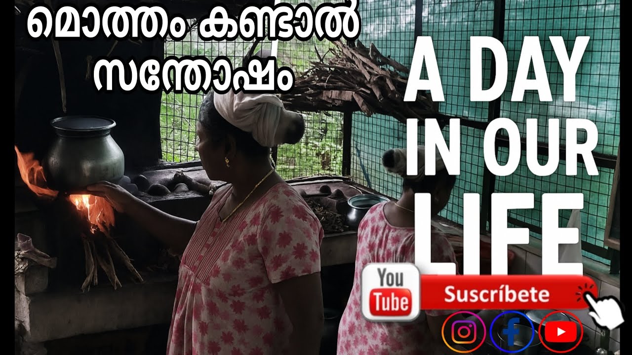 ' A DAY IN OUR LIFE ' മൊത്തം കണ്ടാൽ സന്തോഷം. കാണാനും മാത്രം ഒന്നും ഇല്ല. 😁 #familyvlog #dayinmylife 