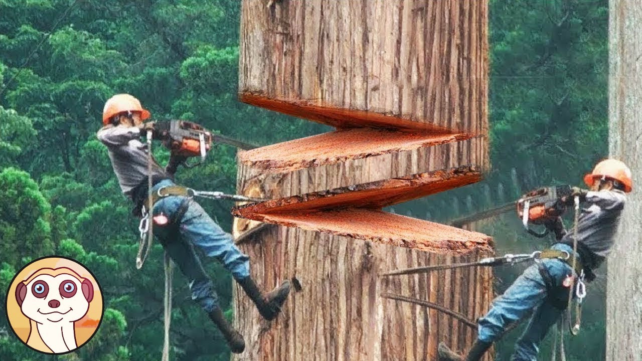 I LAVORATORI PI&Ugrave; VELOCI DEL MONDO