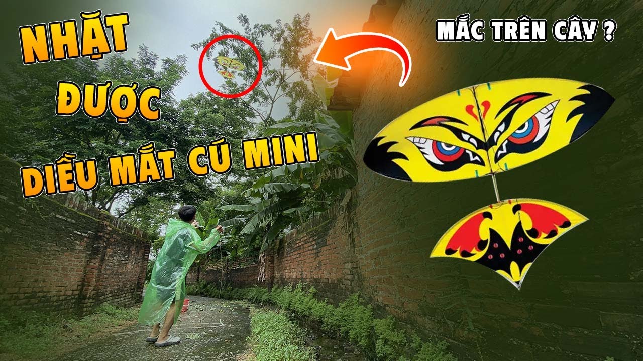 Bất ngờ nhặt được con diều mắt cú mini siêu đẹp | Trò Mèo TV