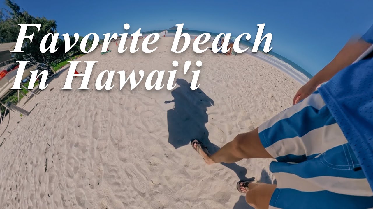 세 번째 하와이 와준 친구들이랑은 어딜 가야 되는지 | Beach drive tour with friends in Hawaii