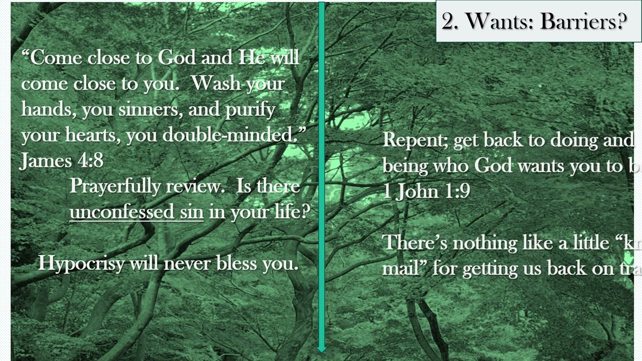 The Nazirite Vow: What does the Bible say? Forest for Trees takes a look.