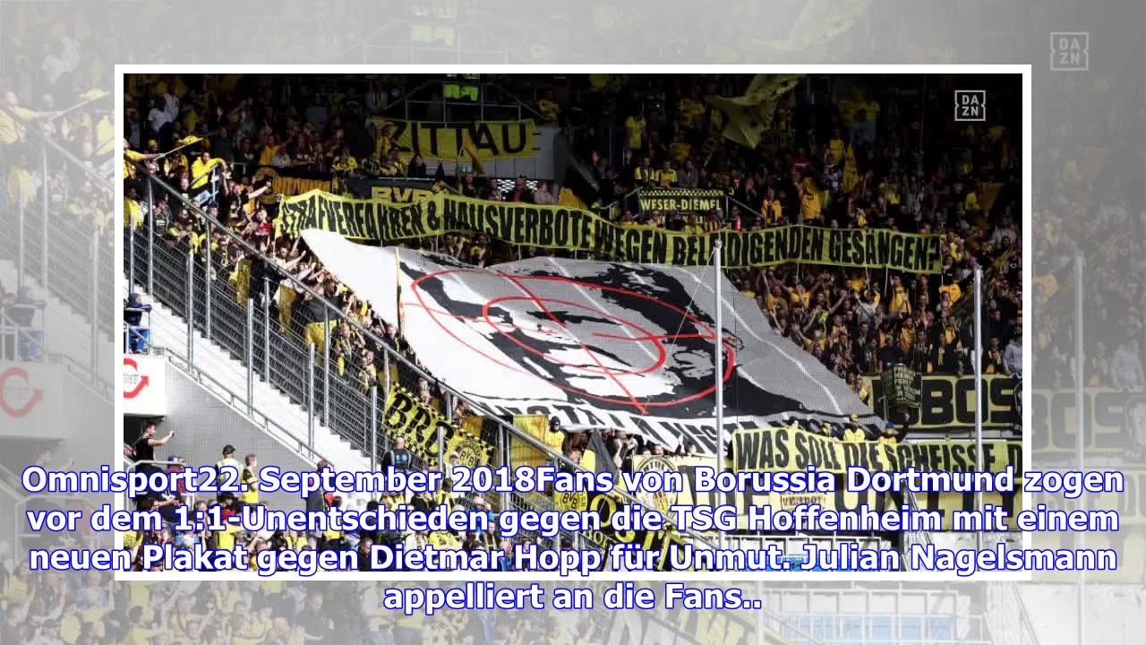 Nagelsmanns Appell nach geschmacklosem Hopp-Plakat