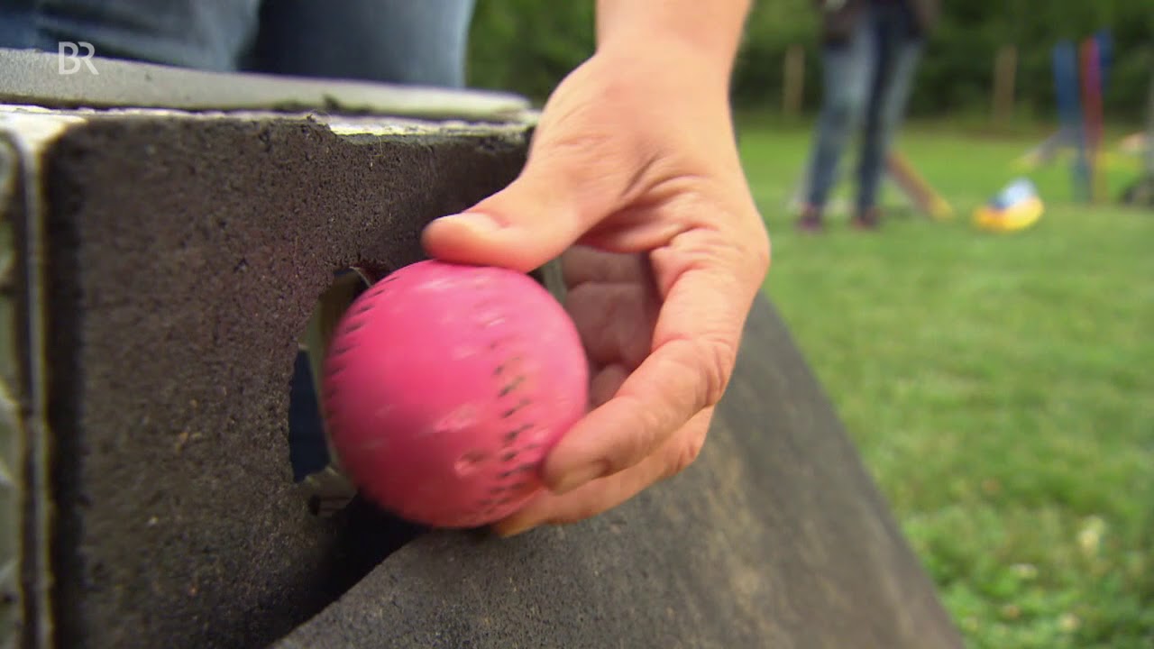 Flyball macht Hunde fit | BR24