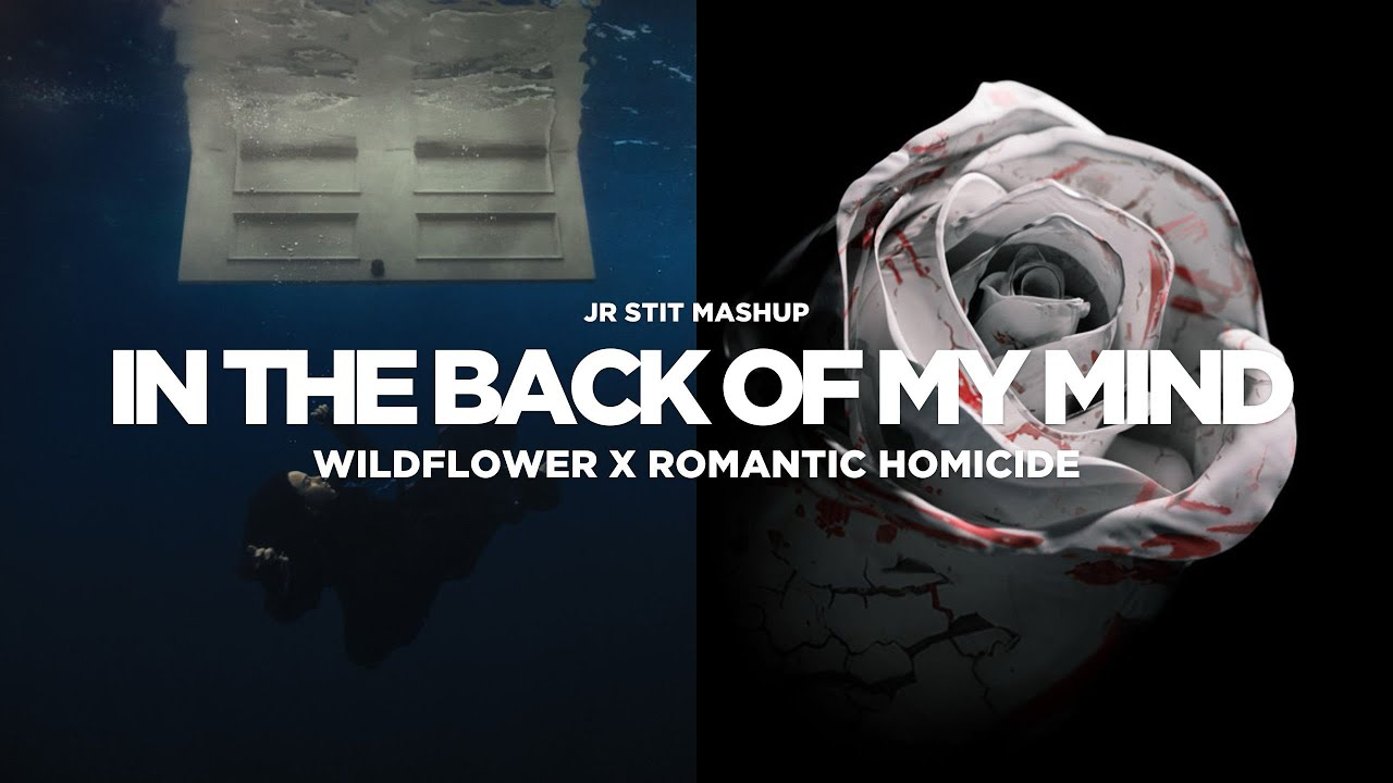 IN THE BACK OF MY MIND (wildflower, romantic homicide) [billie eilish, d4vid, jr stit] #mashup